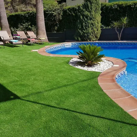 Washingtonia Near Sitges *