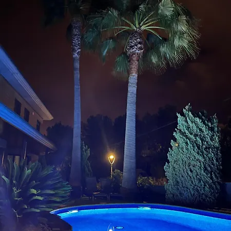 Washingtonia Near Sitges Canyelles (Catalonia)