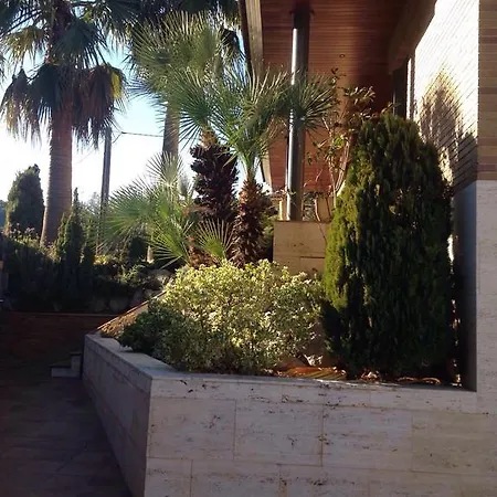 Washingtonia Near Sitges *
