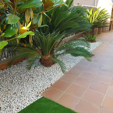 Washingtonia Near Sitges Villa *