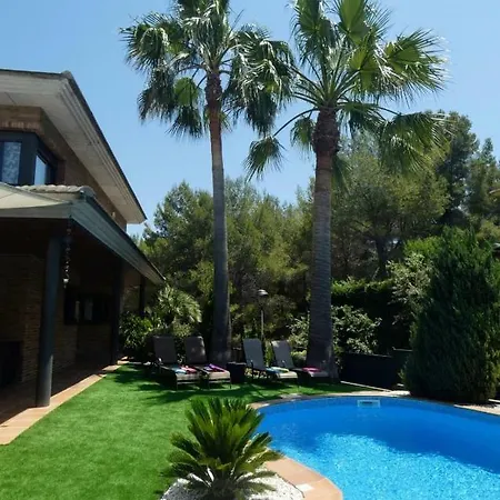 Washingtonia Near Sitges